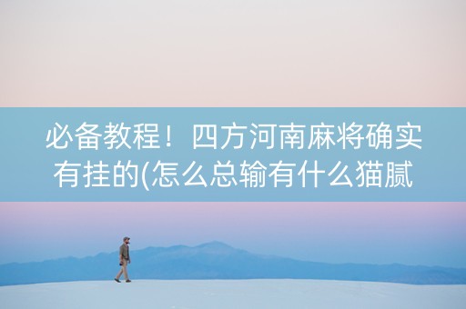 必备教程！四方河南麻将确实有挂的(怎么总输有什么猫腻)