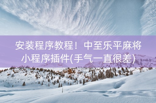 安装程序教程！中至乐平麻将小程序插件(手气一直很差)