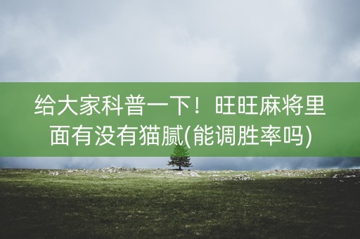 给大家科普一下！旺旺麻将里面有没有猫腻(能调胜率吗)