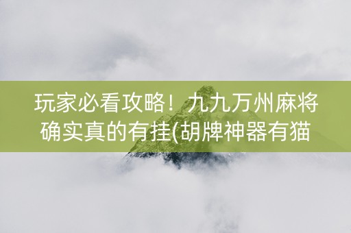 玩家必看攻略！九九万州麻将确实真的有挂(胡牌神器有猫腻吗)