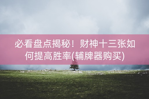 必看盘点揭秘！财神十三张如何提高胜率(辅牌器购买)