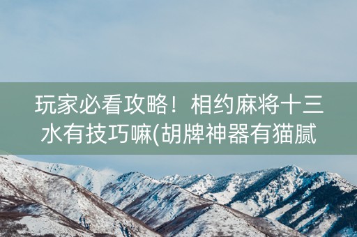 玩家必看攻略！相约麻将十三水有技巧嘛(胡牌神器有猫腻吗)