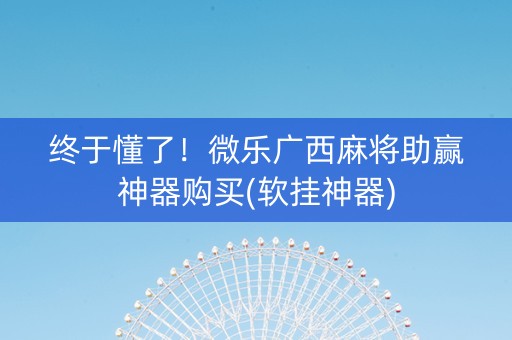 终于懂了！微乐广西麻将助赢神器购买(软挂神器)