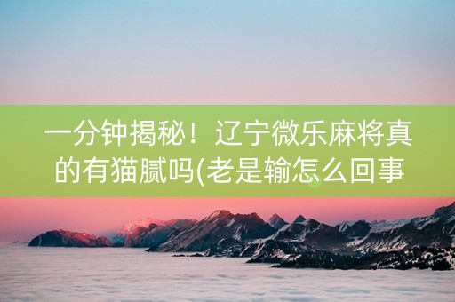 一分钟揭秘！辽宁微乐麻将真的有猫腻吗(老是输怎么回事)