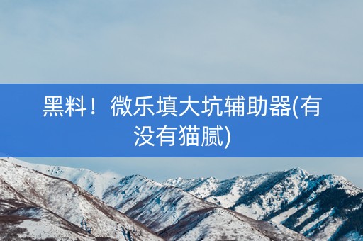 黑料！微乐填大坑辅助器(有没有猫腻)
