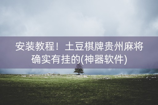 安装教程！土豆棋牌贵州麻将确实有挂的(神器软件)