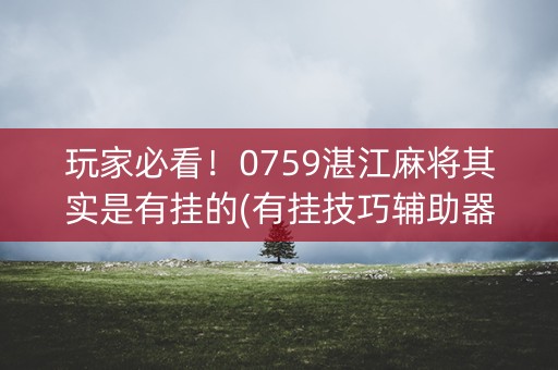 玩家必看！0759湛江麻将其实是有挂的(有挂技巧辅助器)