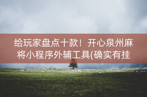 给玩家盘点十款！开心泉州麻将小程序外辅工具(确实有挂吗)