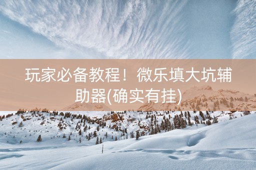 玩家必备教程！微乐填大坑辅助器(确实有挂)