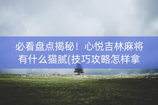 必看盘点揭秘！心悦吉林麻将有什么猫腻(技巧攻略怎样拿好牌)
