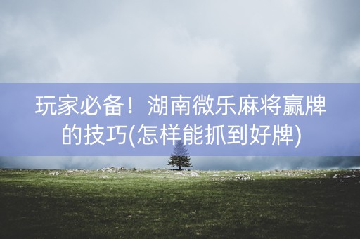 玩家必备！湖南微乐麻将赢牌的技巧(怎样能抓到好牌)