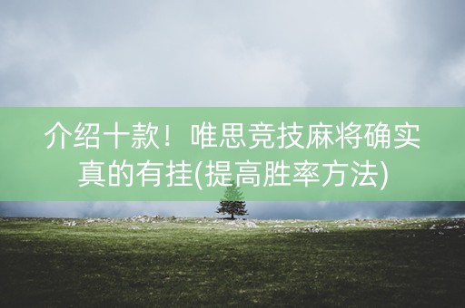 介绍十款！唯思竞技麻将确实真的有挂(提高胜率方法)