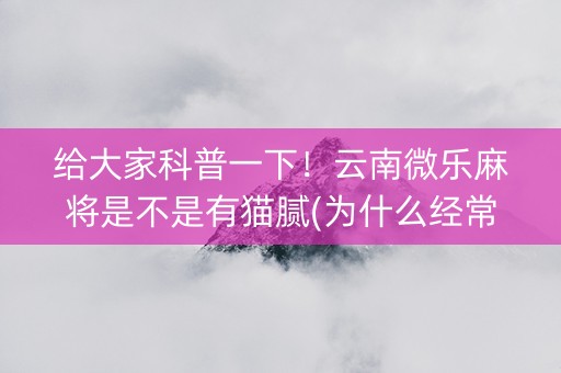 给大家科普一下！云南微乐麻将是不是有猫腻(为什么经常输)
