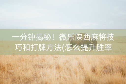 一分钟揭秘！微乐陕西麻将技巧和打牌方法(怎么提升胜率)