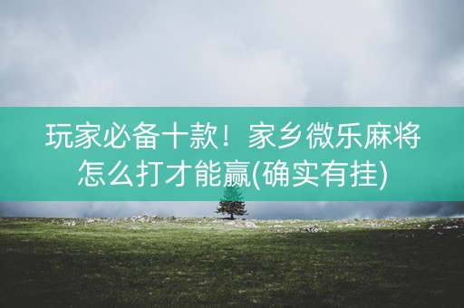玩家必备十款！家乡微乐麻将怎么打才能赢(确实有挂)