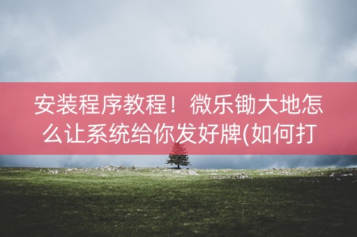 安装程序教程！微乐锄大地怎么让系统给你发好牌(如何打赢有插件吗)