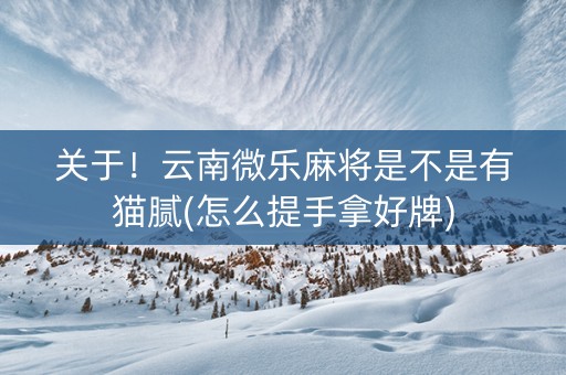 关于！云南微乐麻将是不是有猫腻(怎么提手拿好牌)