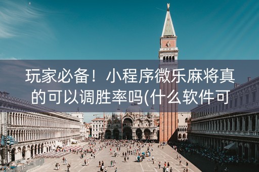 玩家必备！小程序微乐麻将真的可以调胜率吗(什么软件可以赢)