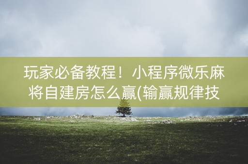 玩家必备教程！小程序微乐麻将自建房怎么赢(输赢规律技巧)