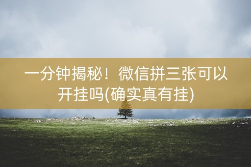 一分钟揭秘！微信拼三张可以开挂吗(确实真有挂)