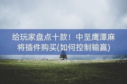 给玩家盘点十款！中至鹰潭麻将插件购买(如何控制输赢)