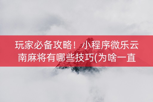 玩家必备攻略！小程序微乐云南麻将有哪些技巧(为啥一直输)