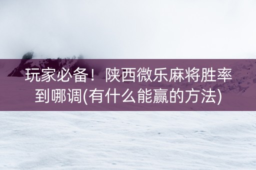 玩家必备！陕西微乐麻将胜率到哪调(有什么能赢的方法)