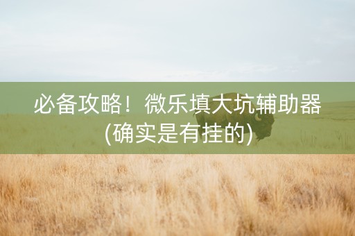 必备攻略！微乐填大坑辅助器(确实是有挂的)