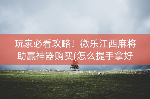 玩家必看攻略！微乐江西麻将助赢神器购买(怎么提手拿好牌)