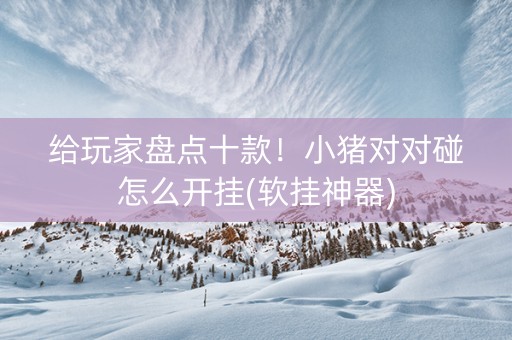 给玩家盘点十款！小猪对对碰怎么开挂(软挂神器)