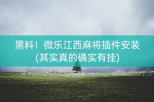 黑料！微乐江西麻将插件安装(其实真的确实有挂)