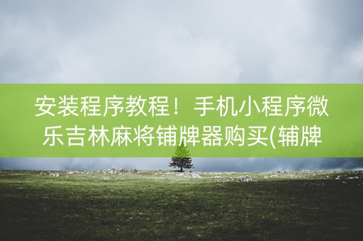 安装程序教程！手机小程序微乐吉林麻将铺牌器购买(辅牌器购买)
