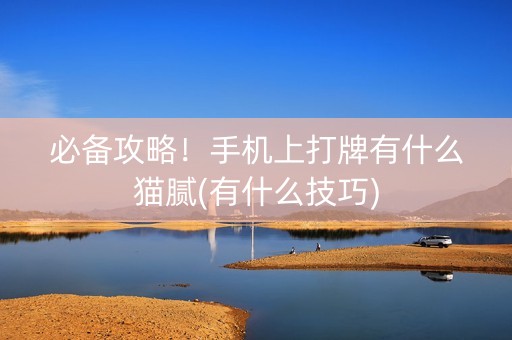 必备攻略！手机上打牌有什么猫腻(有什么技巧)