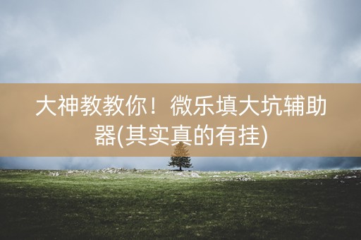 大神教教你！微乐填大坑辅助器(其实真的有挂)