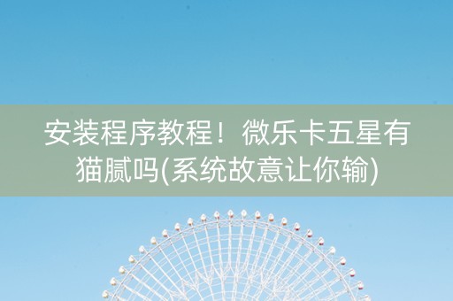 安装程序教程！微乐卡五星有猫腻吗(系统故意让你输)