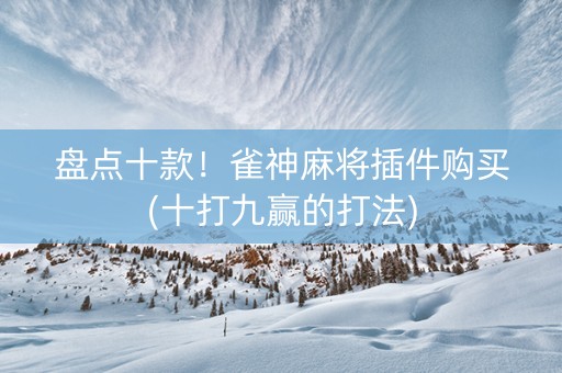 盘点十款！雀神麻将插件购买(十打九赢的打法)