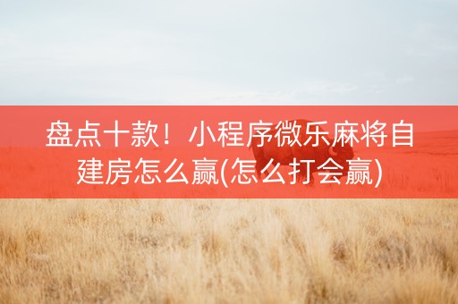 盘点十款！小程序微乐麻将自建房怎么赢(怎么打会赢)