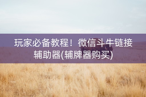 玩家必备教程！微信斗牛链接辅助器(辅牌器购买)