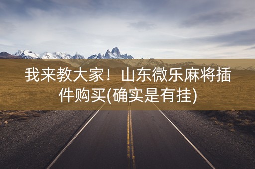 我来教大家！山东微乐麻将插件购买(确实是有挂)