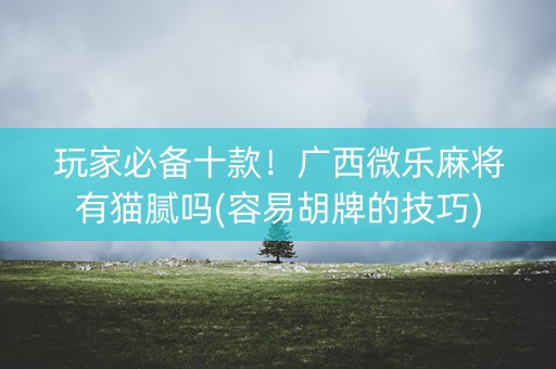 玩家必备十款！广西微乐麻将有猫腻吗(容易胡牌的技巧)