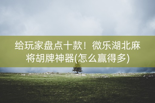 给玩家盘点十款！微乐湖北麻将胡牌神器(怎么赢得多)