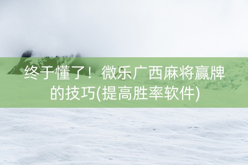 终于懂了！微乐广西麻将赢牌的技巧(提高胜率软件)