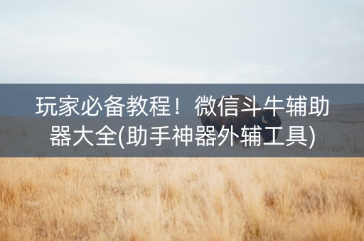 玩家必备教程！微信斗牛辅助器大全(助手神器外辅工具)