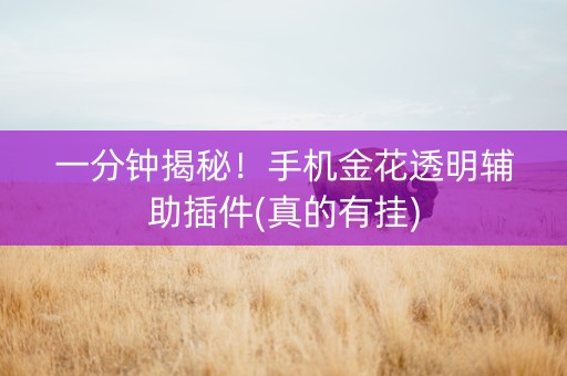 一分钟揭秘！手机金花透明辅助插件(真的有挂)