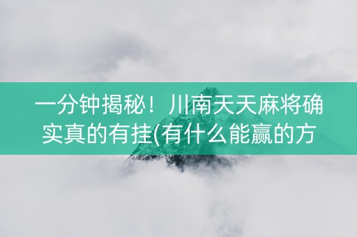 一分钟揭秘！川南天天麻将确实真的有挂(有什么能赢的方法)