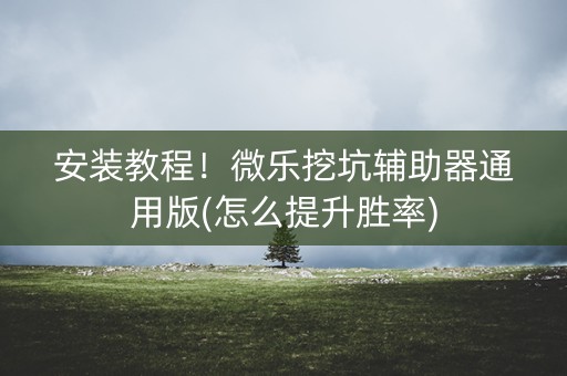 安装教程！微乐挖坑辅助器通用版(怎么提升胜率)