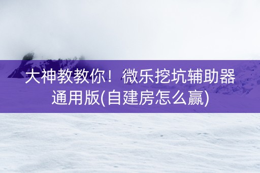 大神教教你！微乐挖坑辅助器通用版(自建房怎么赢)