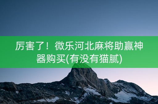 厉害了！微乐河北麻将助赢神器购买(有没有猫腻)