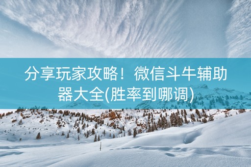 分享玩家攻略！微信斗牛辅助器大全(胜率到哪调)