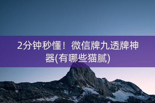 2分钟秒懂！微信牌九透牌神器(有哪些猫腻)